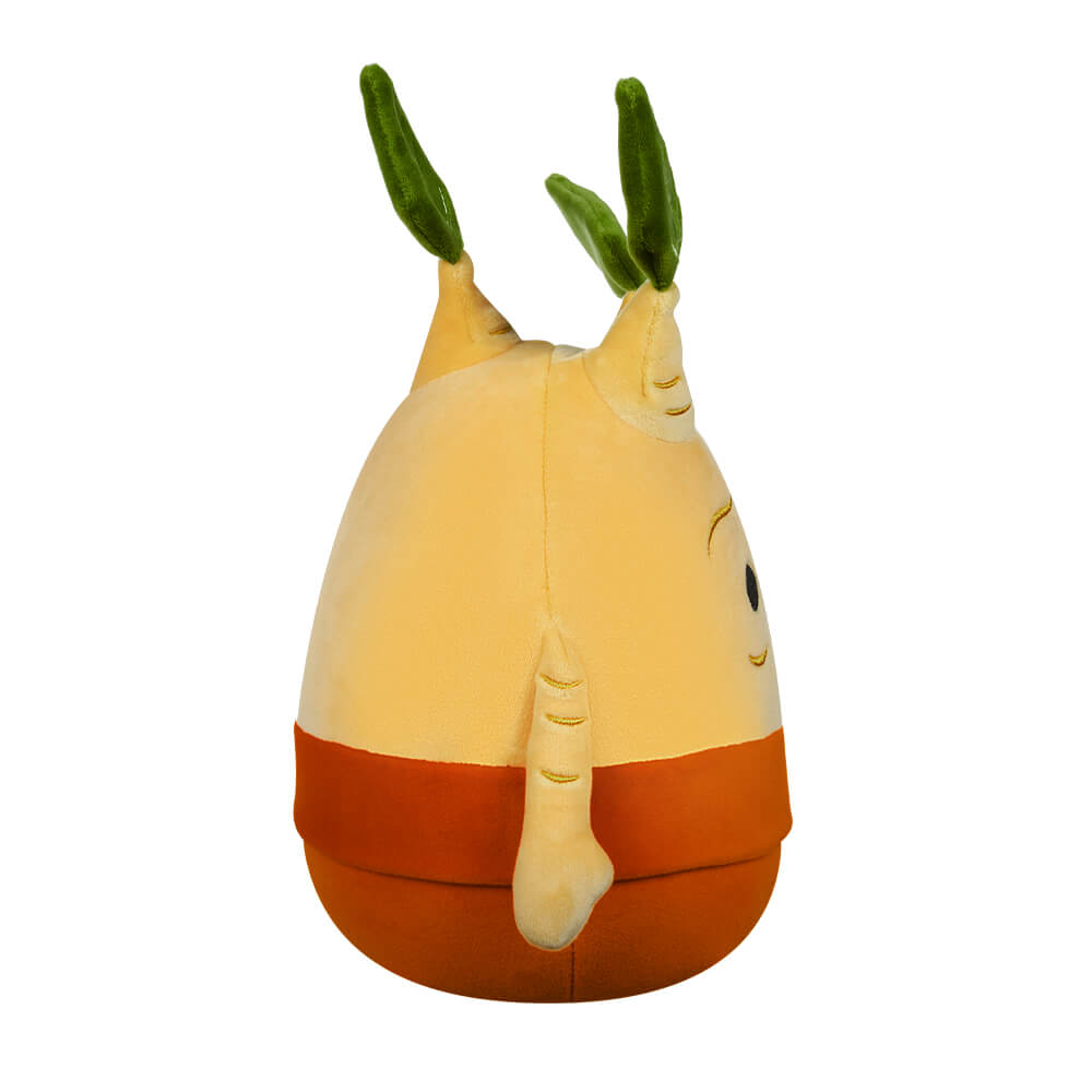 /Content/Products/SQWB00013.jpg