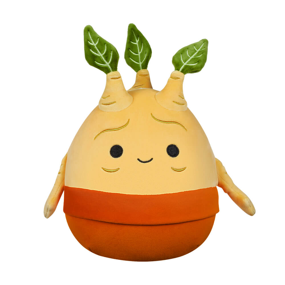 /Content/Products/SQWB00013.jpg